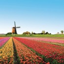 Голландия: фото, описание, интересные факты