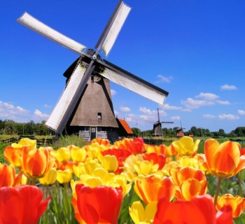 Праздник тюльпанов в Голландии - фото