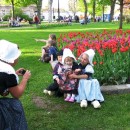 Парад цветов в Голландии - фото