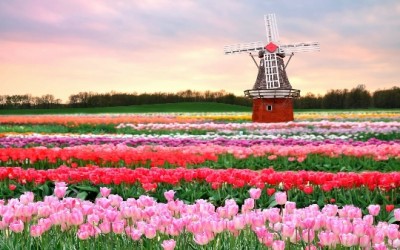 Сады Голландии