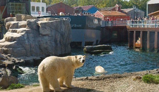 Hannover Zoo - Fotos, Preis, Öffnungszeiten. Wie komme ich ...