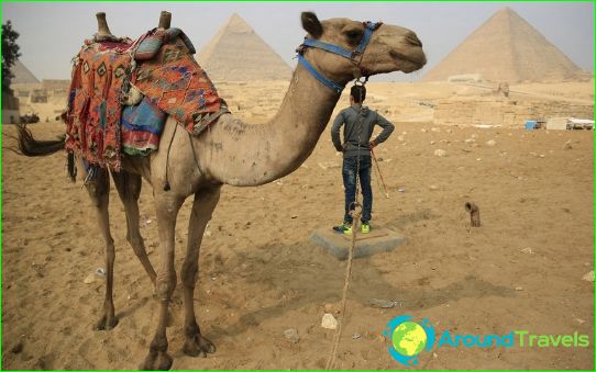 Alternatief voor vakantie in Egypte