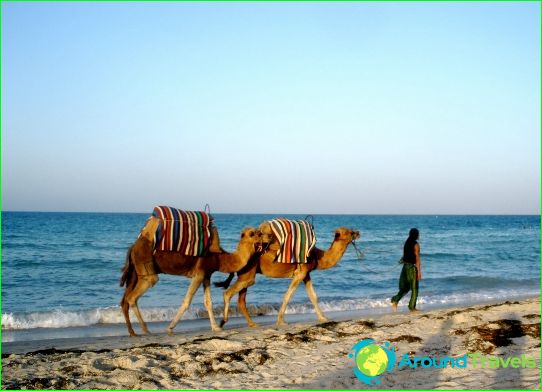 شواطئ تونس