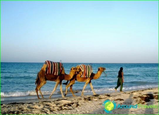 Plages de Tunisie