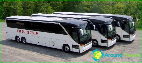 Bus tours to Estonia