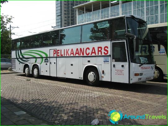 Bus tours to Benelux