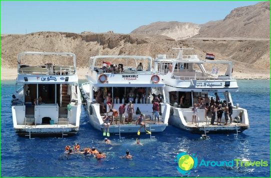 Excursions in Sharm El Sheikh