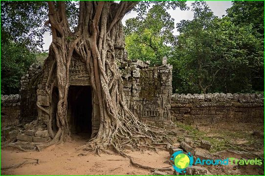 Vacances au Cambodge en novembre