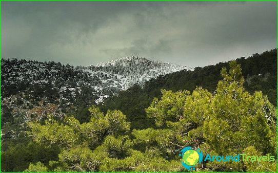 Vakantie in Cyprus in januari