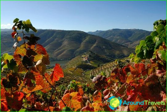 Feiertage in Portugal im November