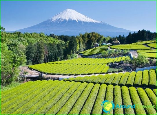 Provinser i Japan