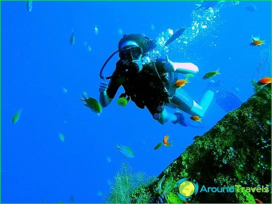 Diving in Indonesia