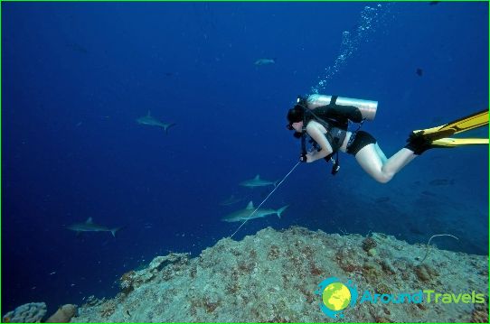 Diving in Tunisia