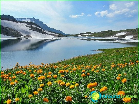 Baikal Cruises