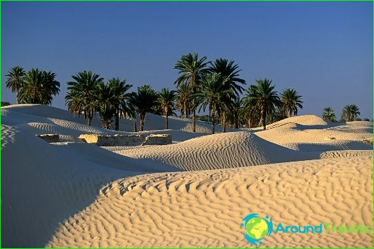 Tours to Tunisia