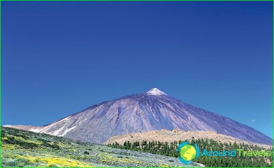 Dovolená v Tenerife