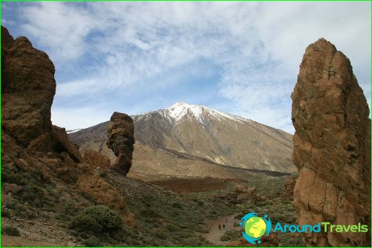 Tours in Tenerife