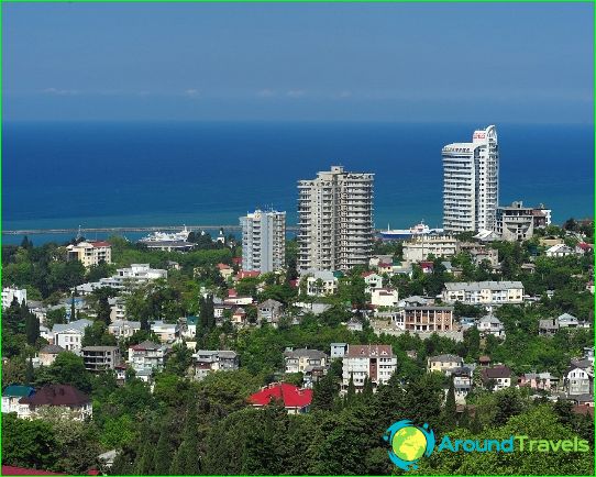 Saker att göra i Sochi