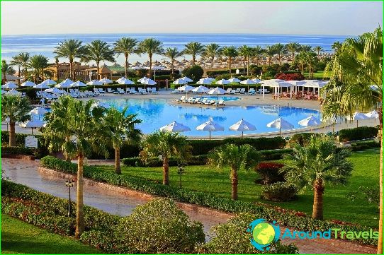 Things to do in Sharm El Sheikh