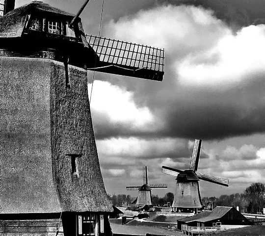 Holland history