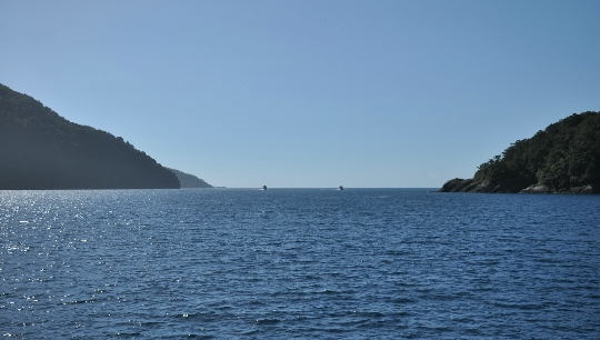Tasmanische See