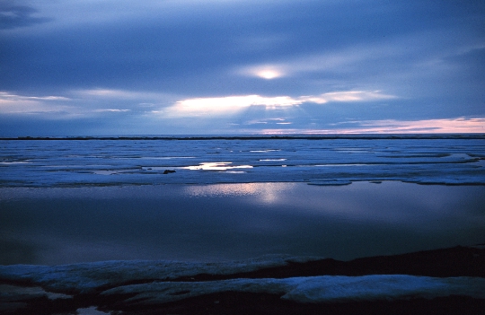 Beaufort-tenger