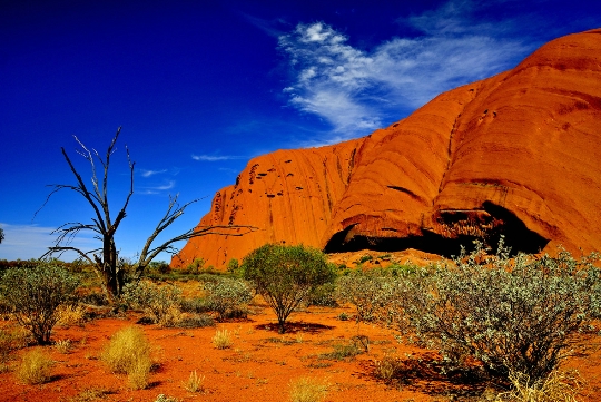 Caractéristiques de l'Australie