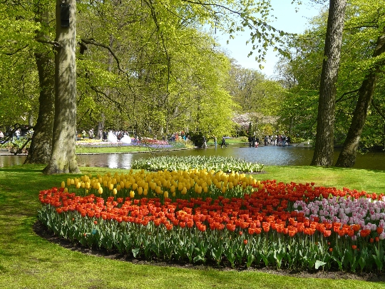 Holandské záhrady