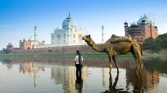 Voyage en Inde