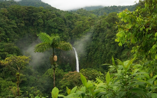 Costa Rican ominaisuudet