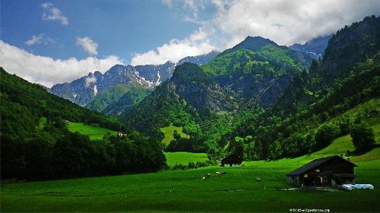 Пътуване до Швейцария