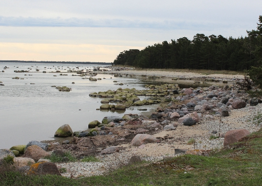 Estonian coast