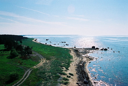 Estonian coast