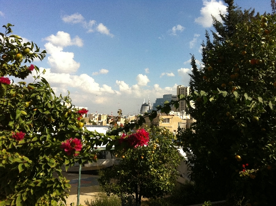 Haifa Vororte