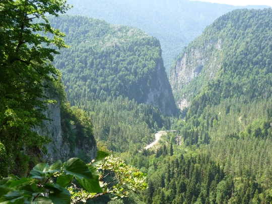 Nature reserves of Abkhazia