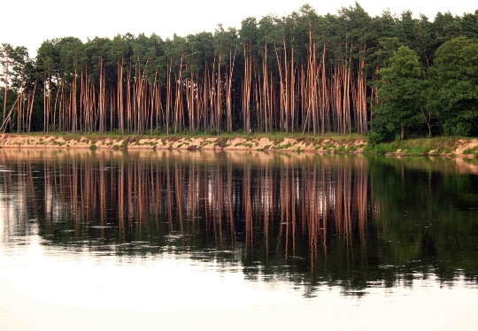 Rzeki Białorusi