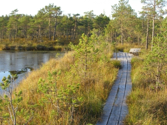 Letonya doğa rezervleri