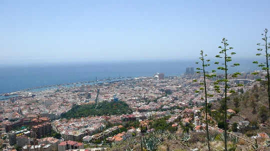 Areas of Tenerife