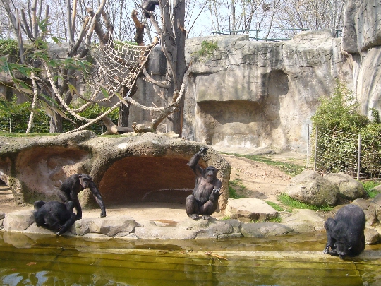 Zoo de Barcelone