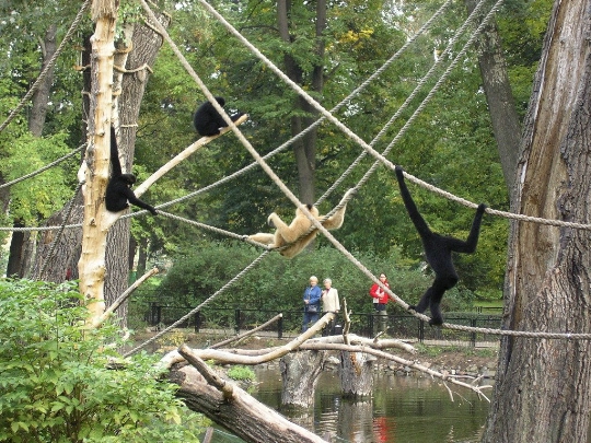 Зоопарк във Варшава