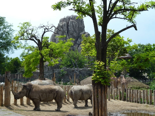 Zoo in Budapest