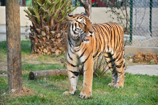 Zoo v Istanbulu