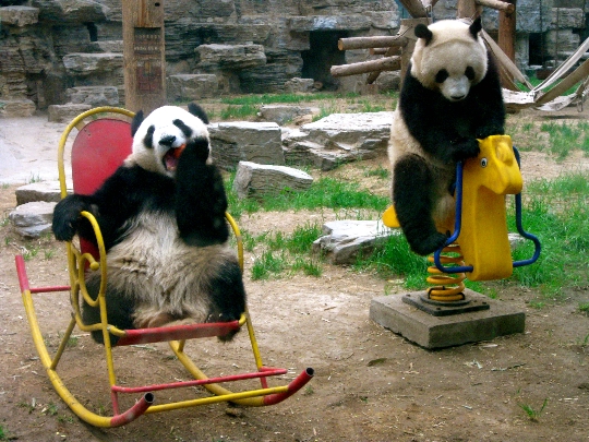 Peking Zoo