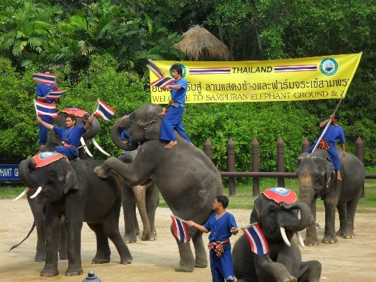 Зоопарк в Банкок