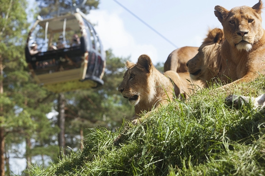 Gradina zoologica din Stockholm