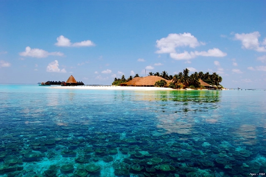 Laccadive Meer