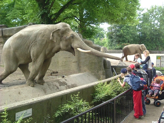 Zoološki vrt Kaunas