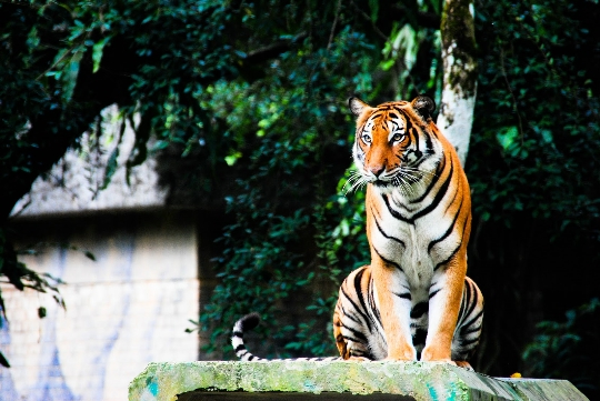 Zoo w Kuala Lumpur