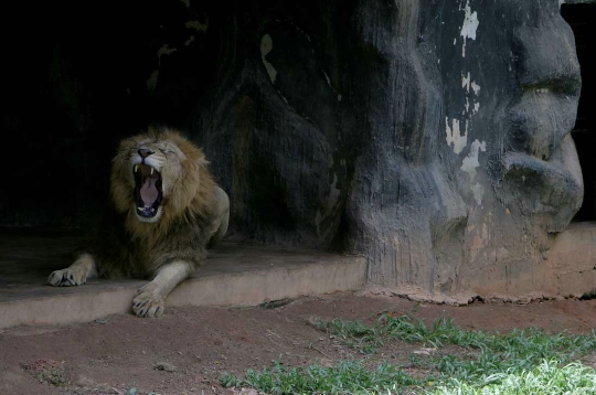 حديقة حيوان في كولومبو