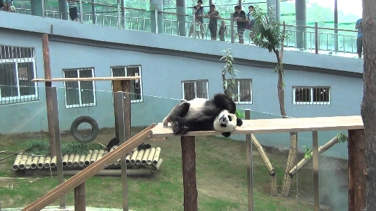 Dalian Zoo